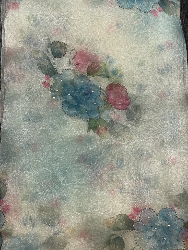 Hand-Painted Embellished Organza Saree - Blue