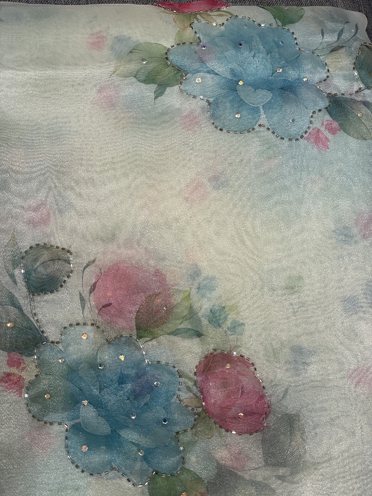 Hand-Painted Embellished Organza Saree - Blue