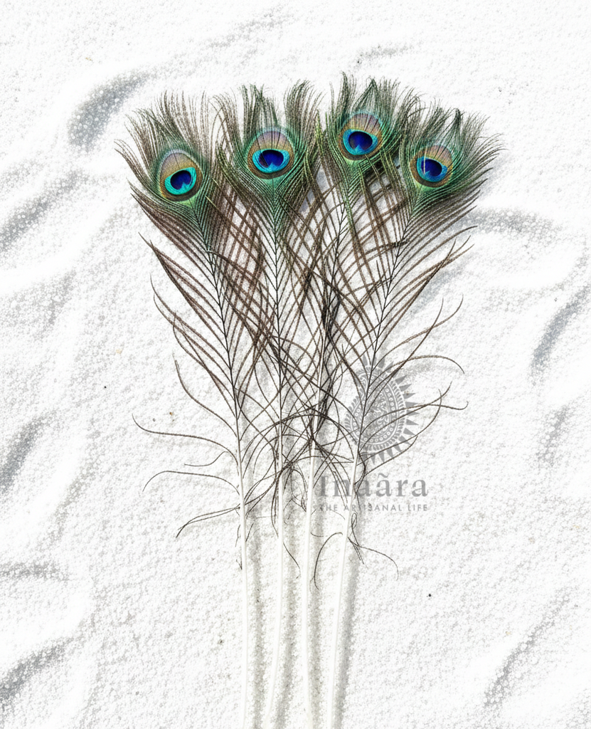 Peacock Eye Feather