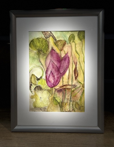 Point Of Serenity (Framed)