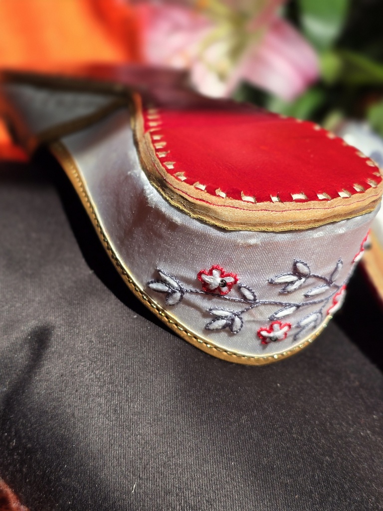 Millee Whimsical Juttis