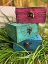 Saqr Handcarved Box by Studio Inaara