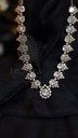 Malvika Necklace Set