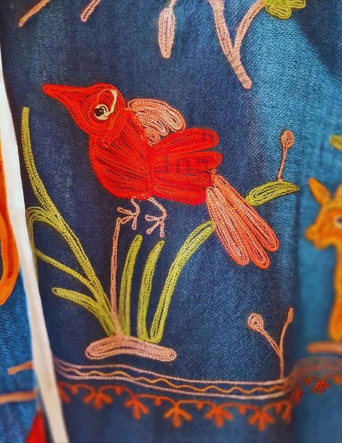 Vann Embroidered Shawl (Teal)