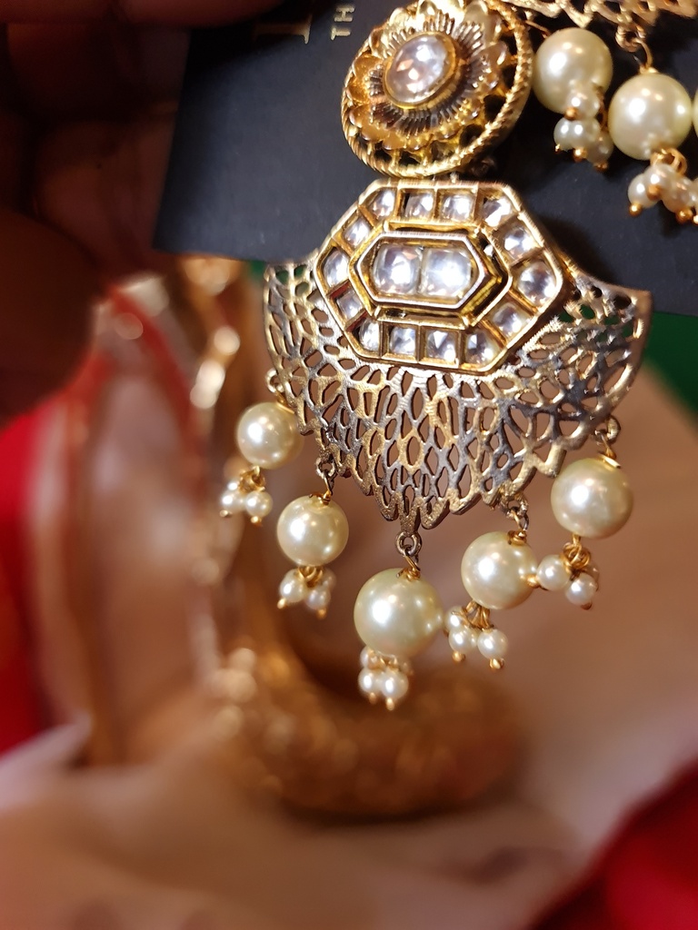 Stunning Designer Danglers