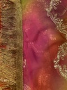 Rajput Style Jaal Work Georgette saree