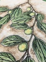 Plants of the Quran -Sidr