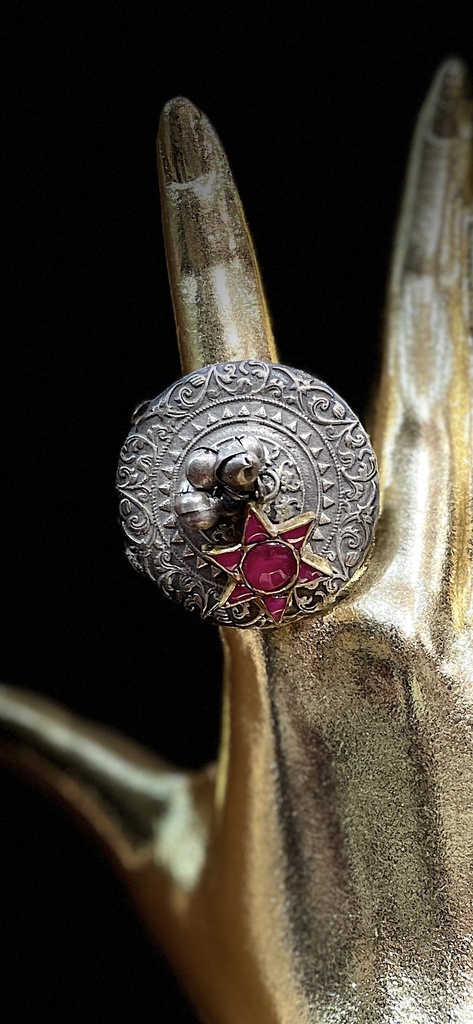 Adjustable fusion ring with gold plated element