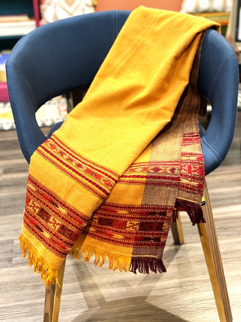 Kalamkari printed throw (copy)