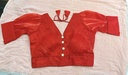 Eka Saree Blouse - Maroon Red (copy)