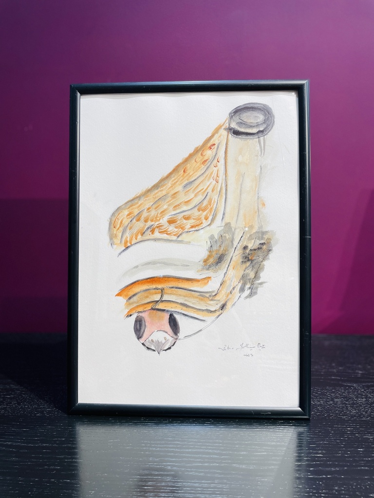 Wings of Tradition (Framed)