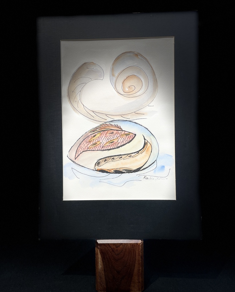 Marine Life (Unframed)