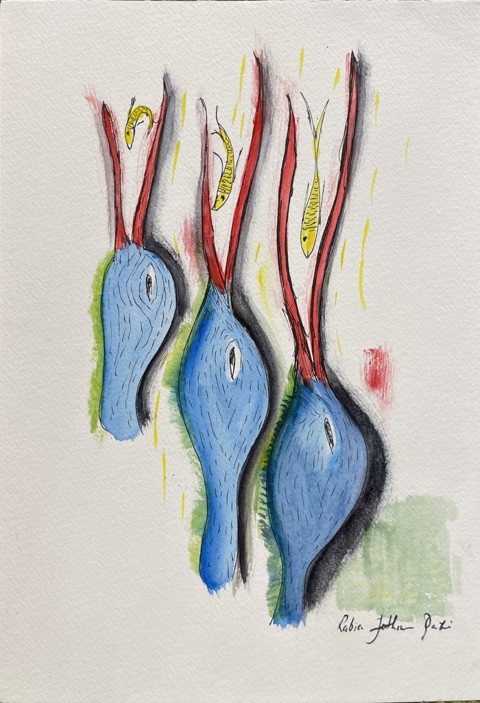 Kingfisher (Unframed)