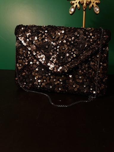 [inaara_sp00589] Sequin clutch bag