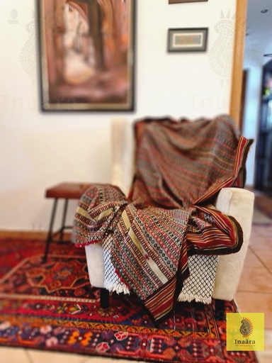 [inaara_sp00097] Bhujodi Shawl