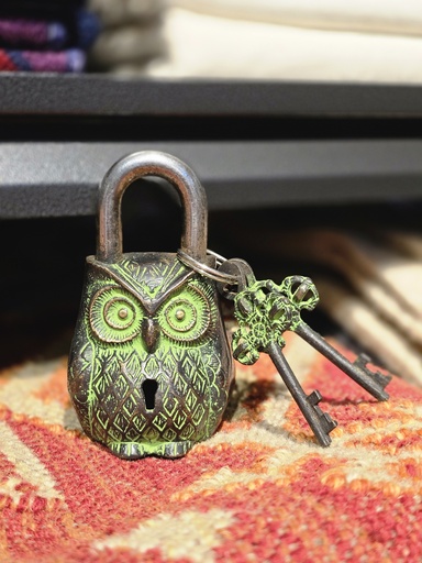 Brass vintage owl padlock with two keys