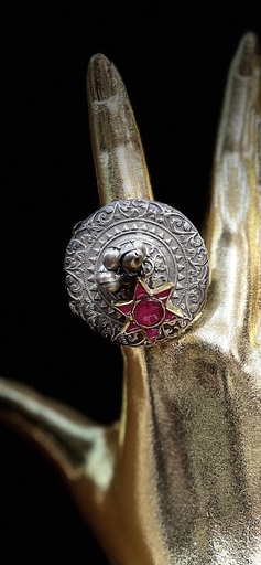 Adjustable fusion ring with gold plated element
