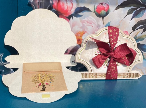 Shagun Money Envelopes Bndle/3-White