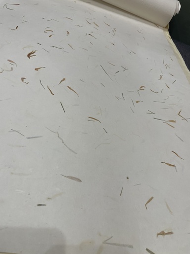 Gift Wrap w/ Natural Petals 76x56cm/roll) (copy)