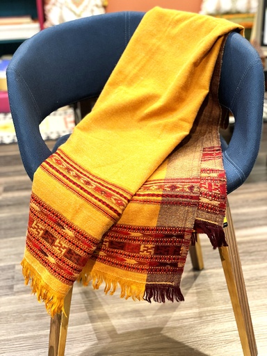 Kalamkari printed throw (copy)